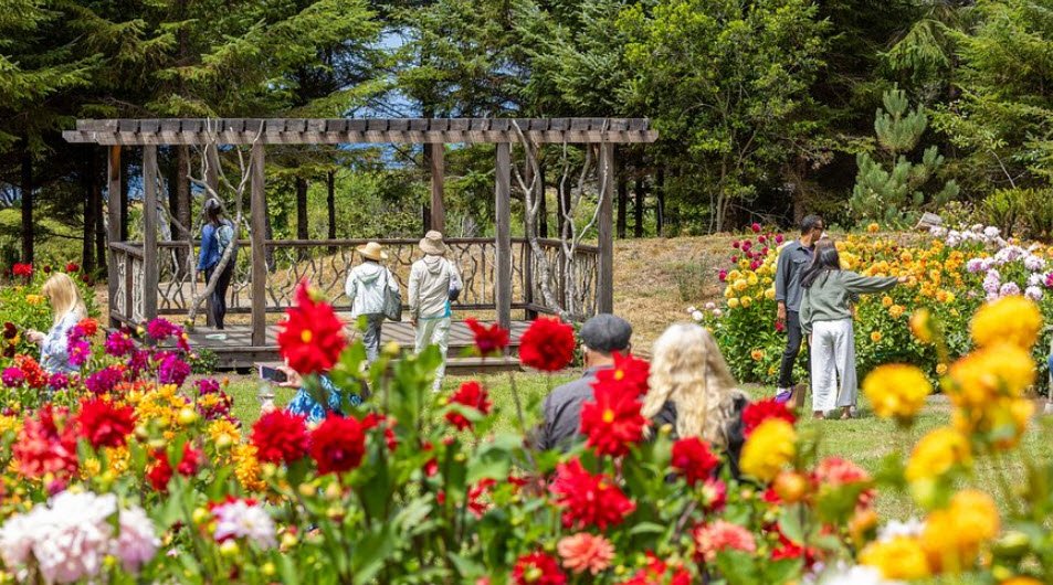 Mendocino Coast Botanical Gardens, United States